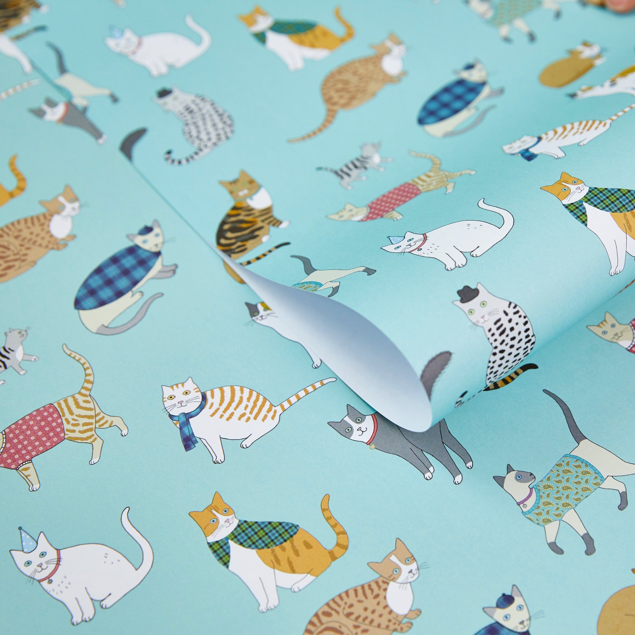 Cat Pattern Gift Wrap by Mary Kilvert