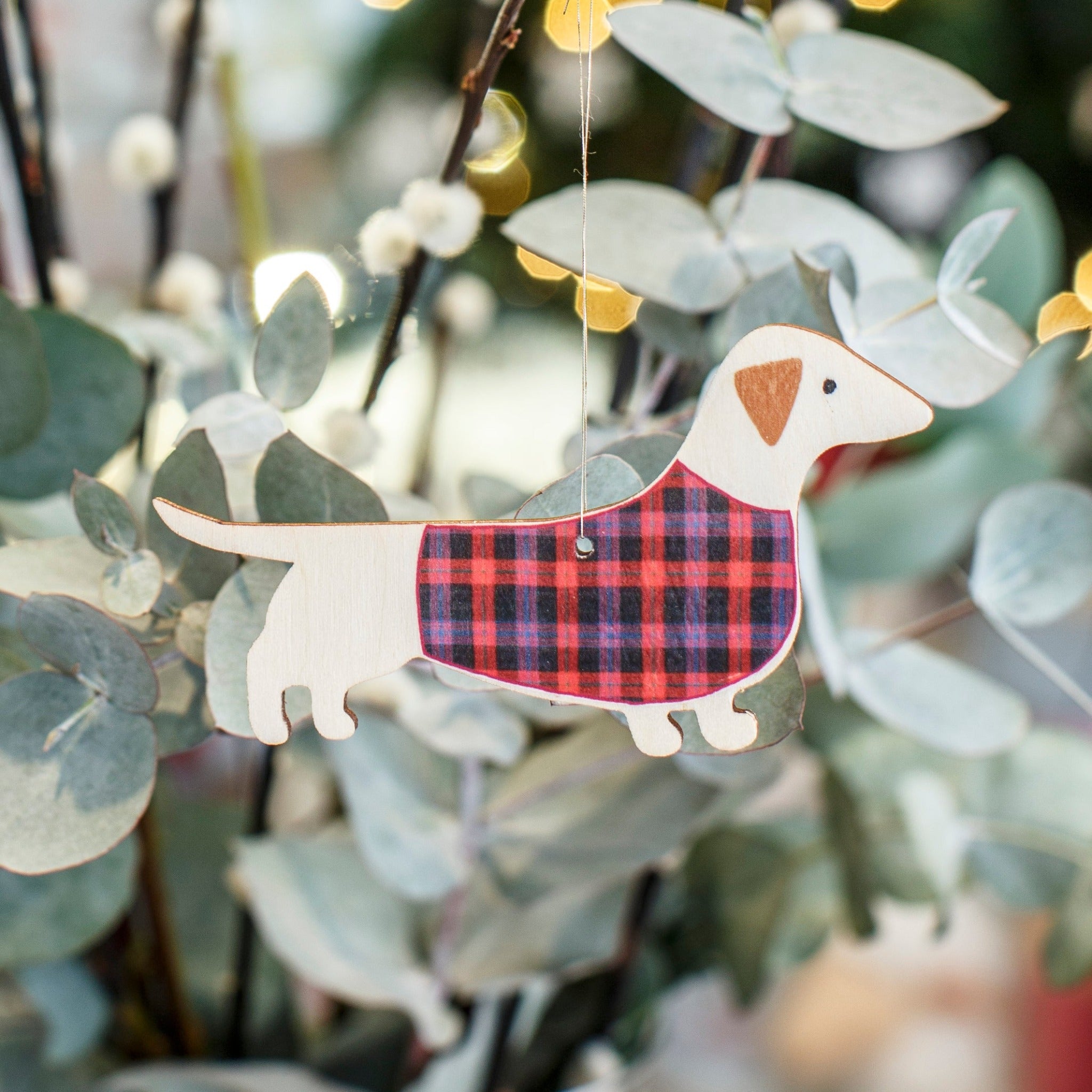 Dashing Dachshund Wooden Decoration by Mary Kilvert