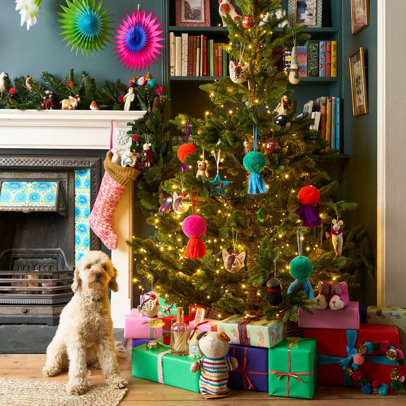 Honey the Cavapoo standing next to a bright and colourfully decorated Christmas tree in Mary Kilvert's home