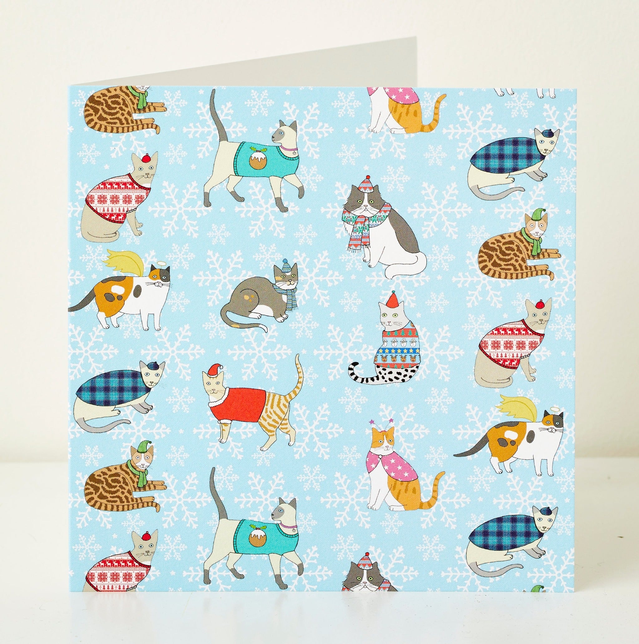 Christmas Cats Greeting Card by Mary Kilvert