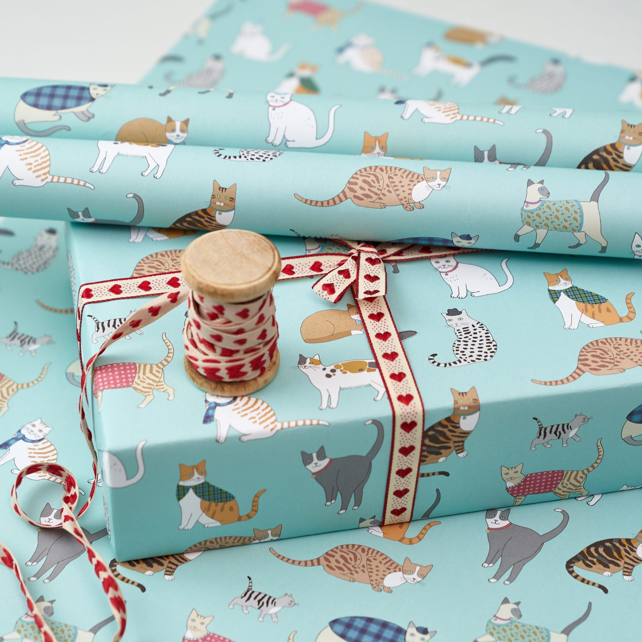 Cat Pattern Gift Wrap by Mary Kilvert