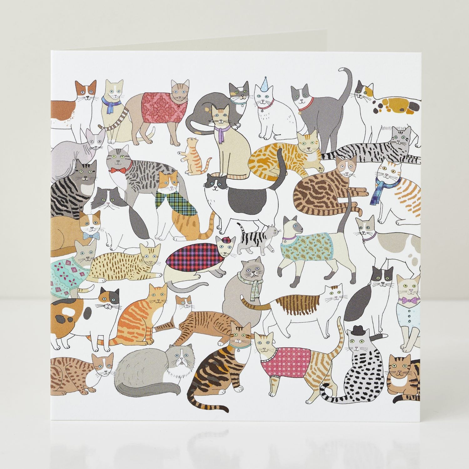 Cradle of Crafty Cats Greeting Card by Mary Kilvert