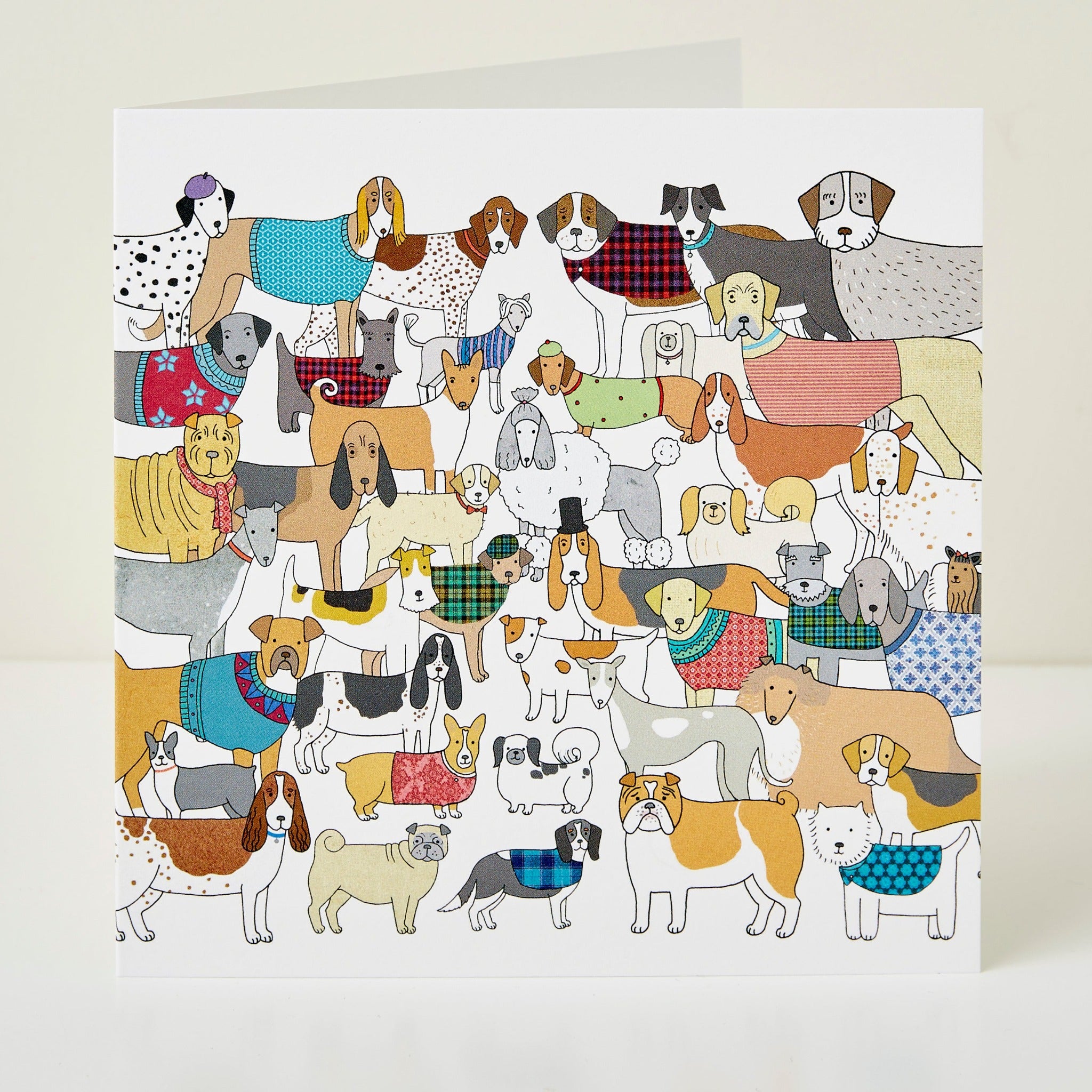 Pack of Proud Pooches Greeting Card by Mary Kilvert