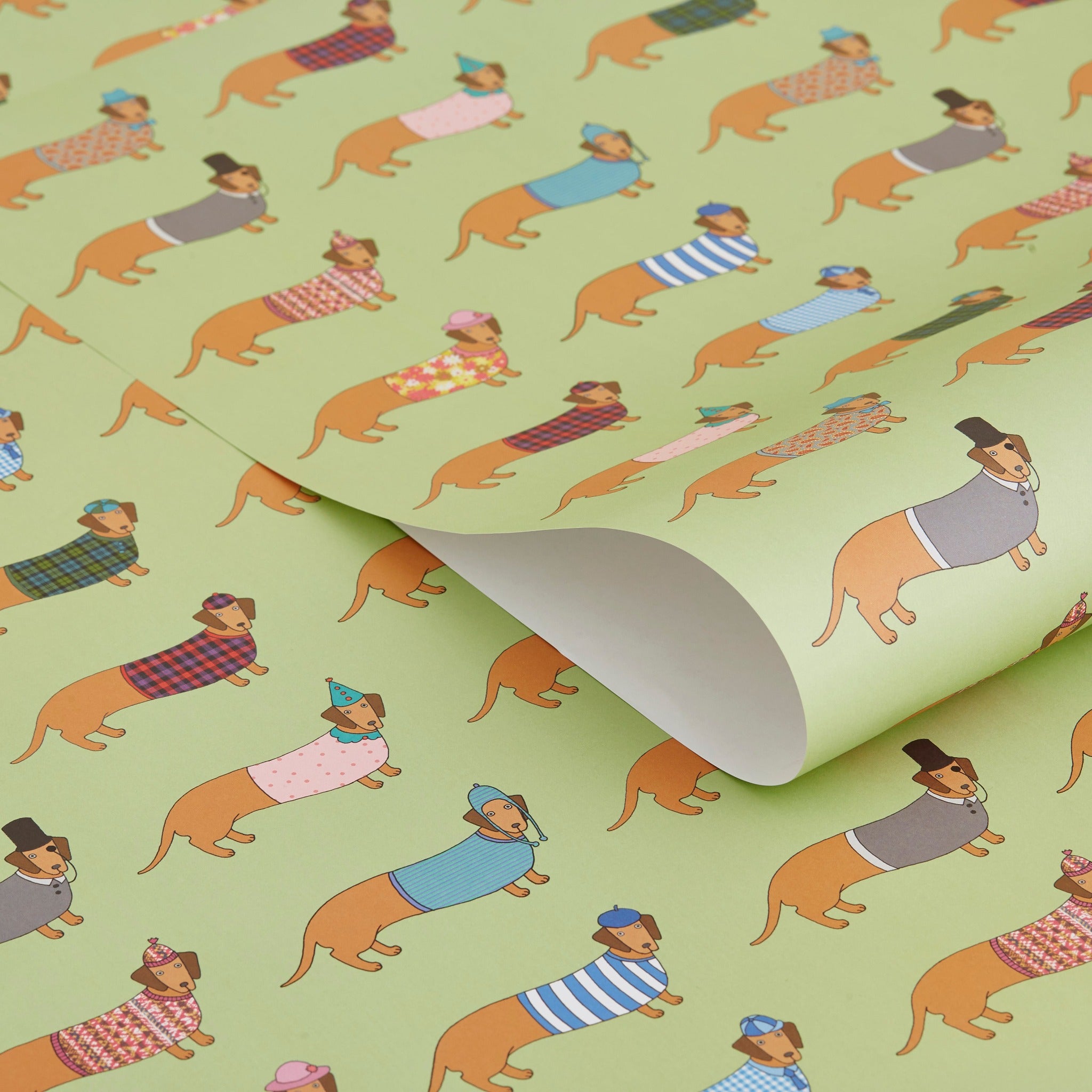 Larry the Long Dog Gift Wrap by Mary Kilvert