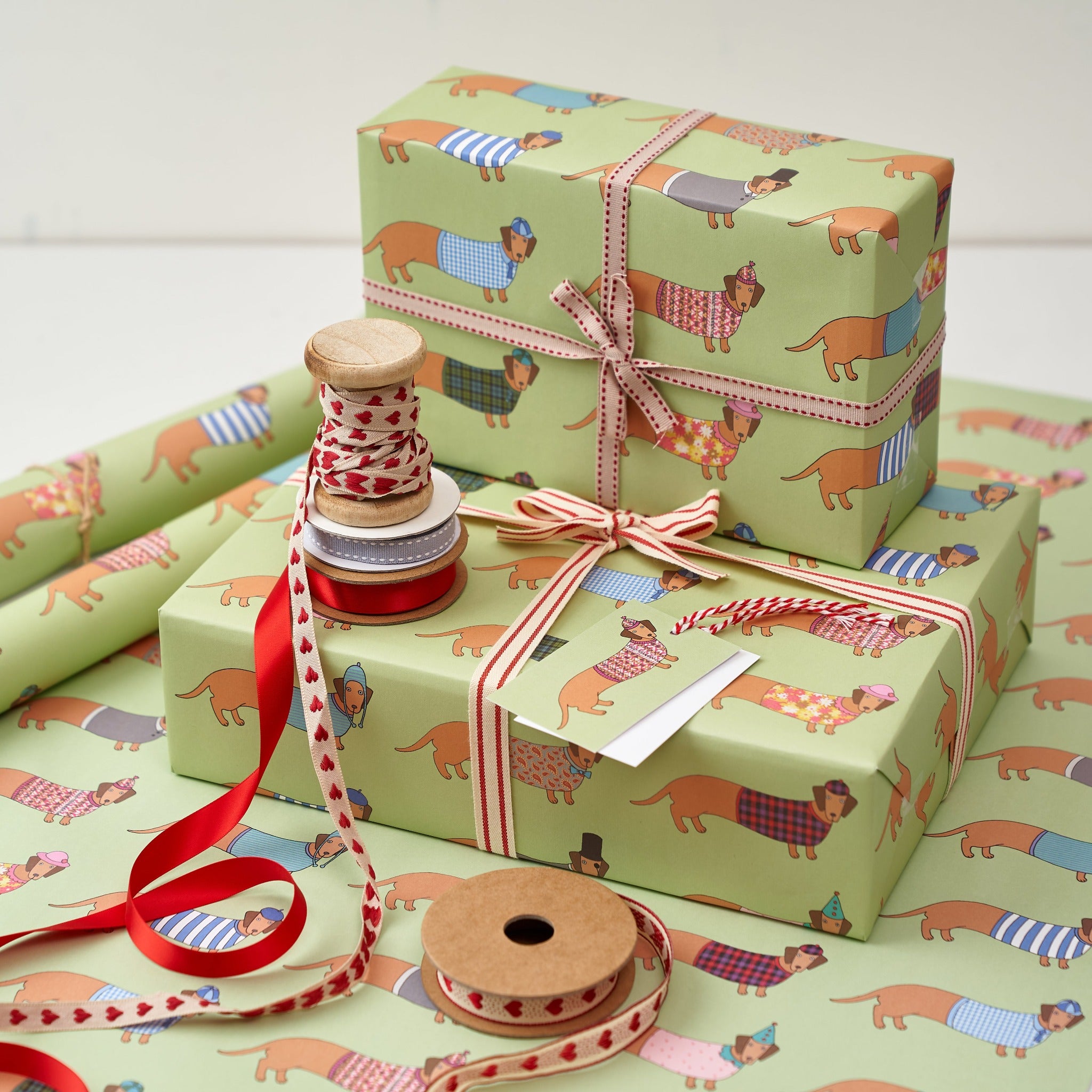 Larry the Long Dog Gift Wrap by Mary Kilvert